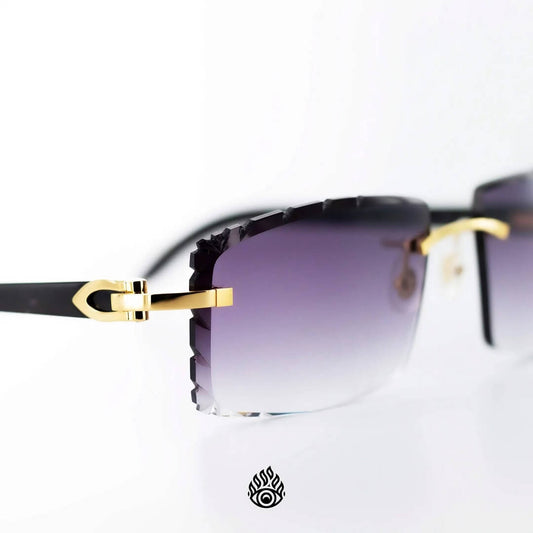 Cartier Black Horn Sunglasses, Gold Detail, Purple Lens CT0049O-001