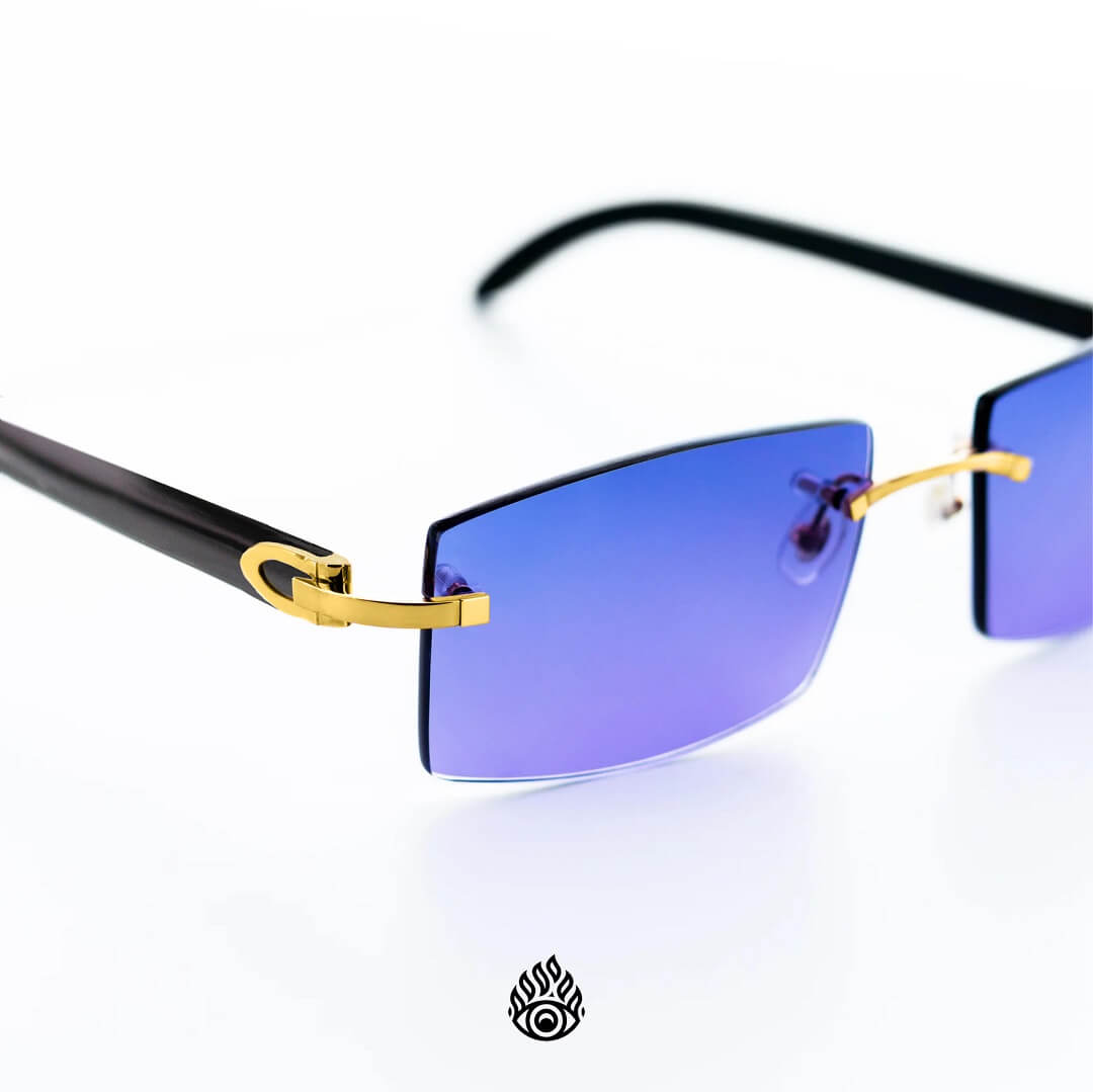 Cartier Black Horn Glasses, Gold Detail, Blueberry Lens CT0049O-001