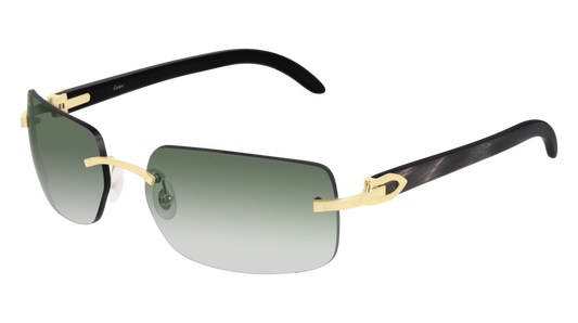 Cartier Black Horn Sunglasses CT0022RS
