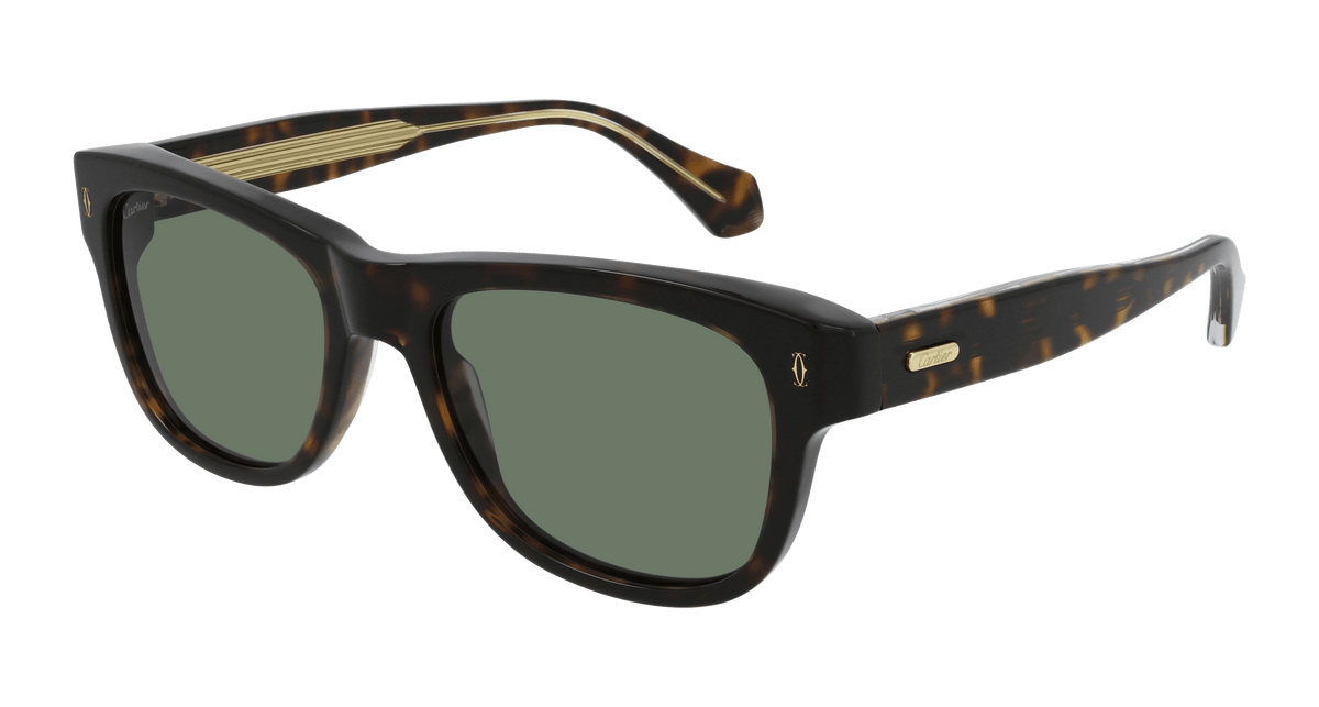 Cartier CT0277S – All Eyes On Me