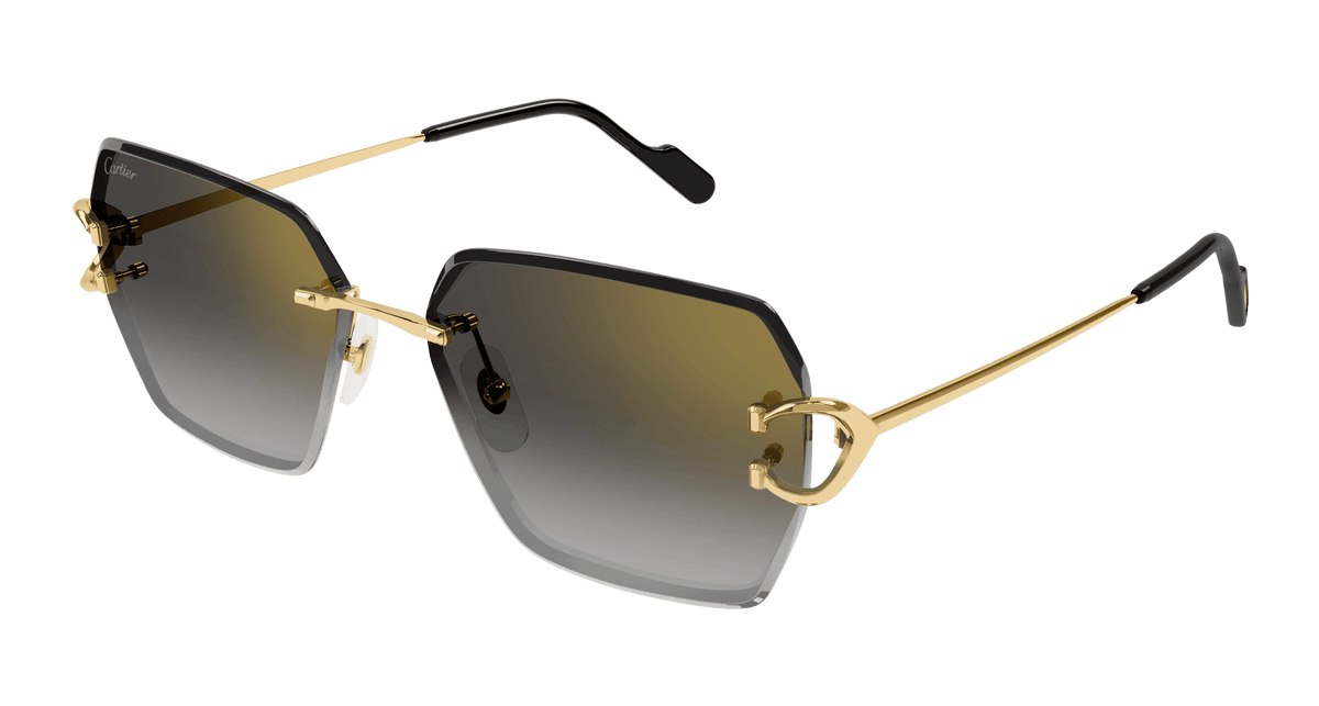 Cartier CT0466S