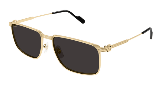 Cartier CT0534S