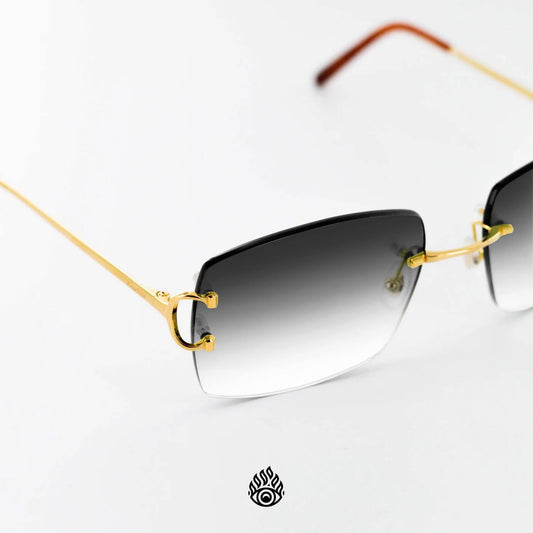 Cartier Big C Glasses with Gold Detail & Grey Lens CT0092O-001