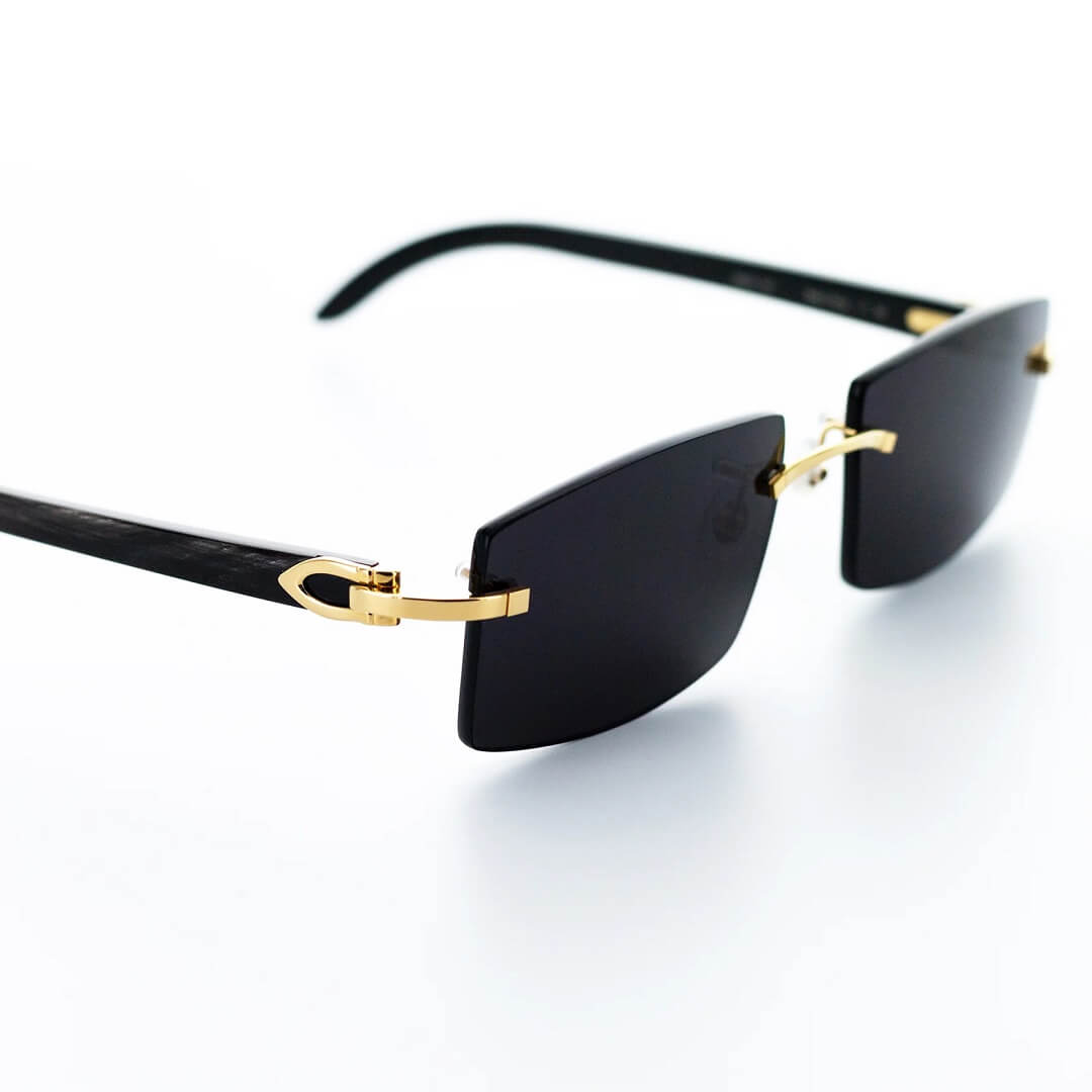 Cartier Black Horn Sunglasses, Gold Detail, Blackout Lens CT0049O-001